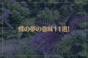 【夢占い】蝶の夢の意味11選！シチュエーション別にご紹介！