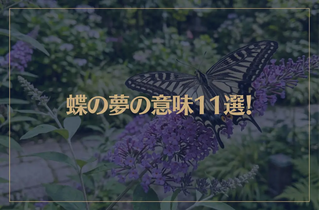 【夢占い】蝶の夢の意味11選！シチュエーション別にご紹介！