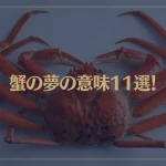 【夢占い】蟹の夢の意味11選！シチュエーション別にご紹介！