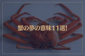 【夢占い】蟹の夢の意味11選！シチュエーション別にご紹介！