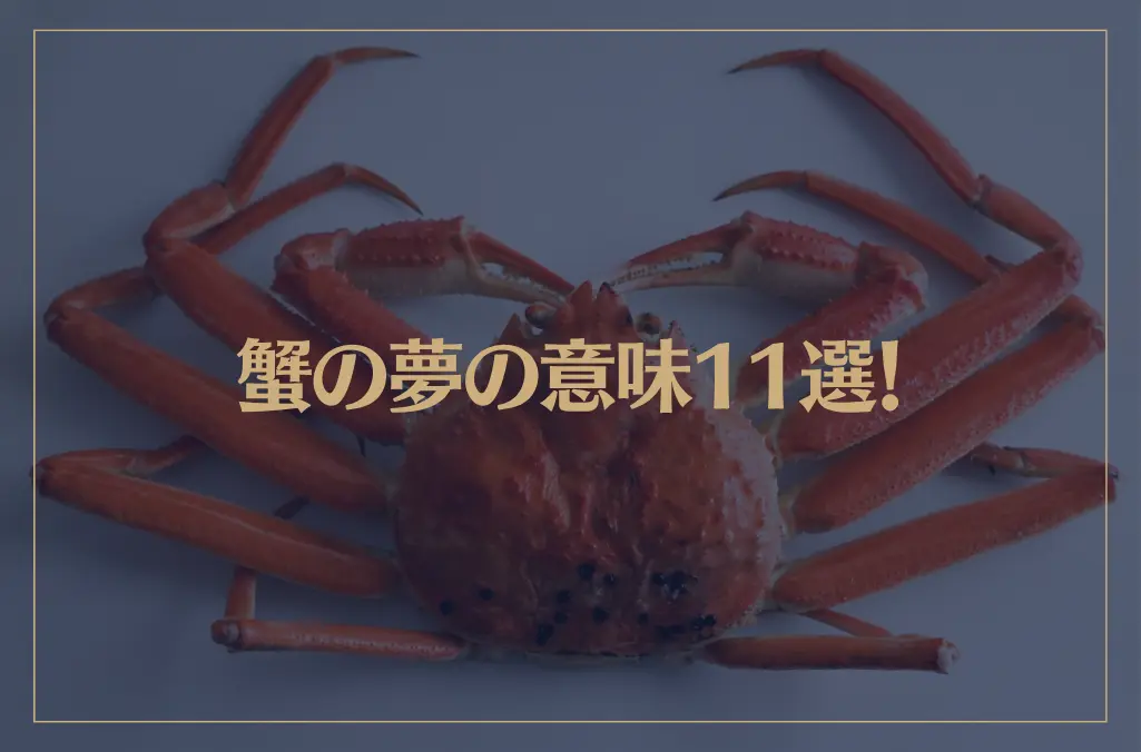 【夢占い】蟹の夢の意味11選！シチュエーション別にご紹介！