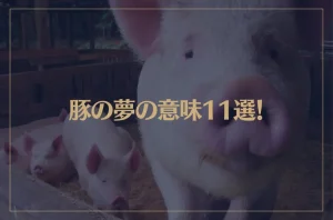 【夢占い】豚の夢の意味11選！シチュエーション別にご紹介！