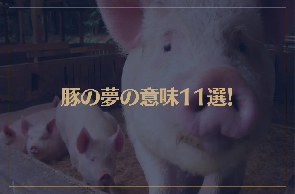 【夢占い】豚の夢の意味11選！シチュエーション別にご紹介！