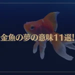 【夢占い】金魚の夢の意味11選！シチュエーション別にご紹介！