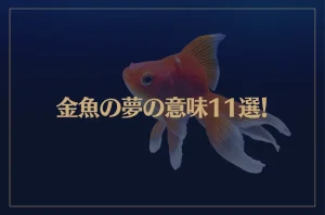 【夢占い】金魚の夢の意味11選！シチュエーション別にご紹介！