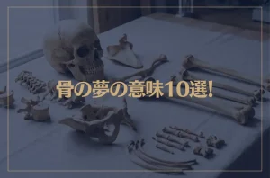 【夢占い】骨の夢の意味10選！シチュエーション別にご紹介！