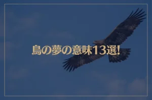 【夢占い】鳥の夢の意味13選！シチュエーション別にご紹介！