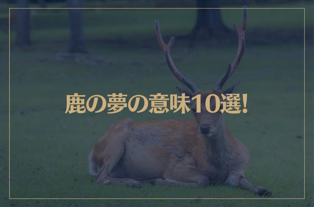 【夢占い】鹿の夢の意味10選！シチュエーション別にご紹介！