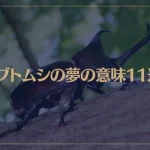 【夢占い】カブトムシの夢の意味11選！シチュエーション別にご紹介！