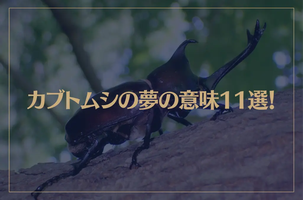 【夢占い】カブトムシの夢の意味11選！シチュエーション別にご紹介！