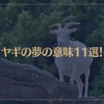 【夢占い】ヤギの夢の意味11選！シチュエーション別にご紹介！