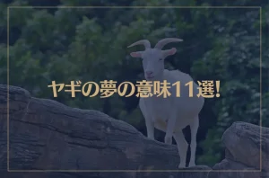 【夢占い】ヤギの夢の意味11選！シチュエーション別にご紹介！