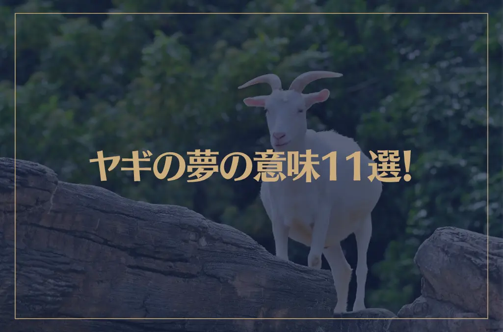 【夢占い】ヤギの夢の意味11選！シチュエーション別にご紹介！