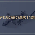 【夢占い】ヤモリの夢の意味11選！シチュエーション別にご紹介！