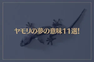 【夢占い】ヤモリの夢の意味11選！シチュエーション別にご紹介！