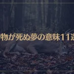 【夢占い】動物が死ぬ夢の意味11選！シチュエーション別にご紹介！