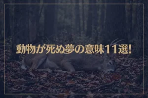 【夢占い】動物が死ぬ夢の意味11選！シチュエーション別にご紹介！