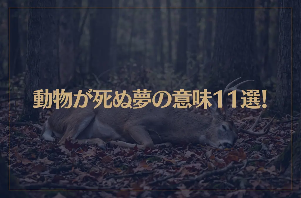 【夢占い】動物が死ぬ夢の意味11選！シチュエーション別にご紹介！