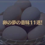 【夢占い】卵の夢の意味11選！シチュエーション別にご紹介！