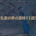 【夢占い】孔雀の夢の意味11選！シチュエーション別にご紹介！