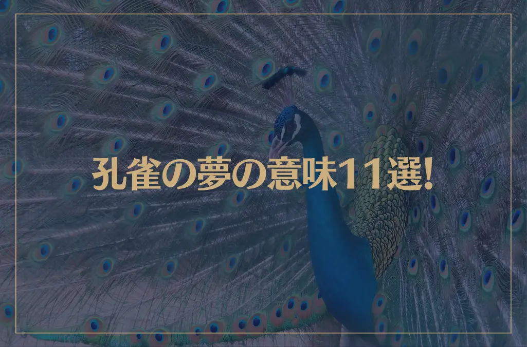 【夢占い】孔雀の夢の意味11選！シチュエーション別にご紹介！