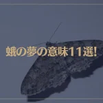 【夢占い】蛾の夢の意味11選！シチュエーション別にご紹介！