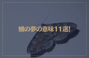 【夢占い】蛾の夢の意味11選！シチュエーション別にご紹介！