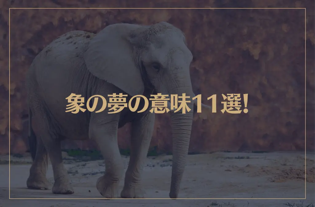 【夢占い】象の夢の意味11選！シチュエーション別にご紹介！
