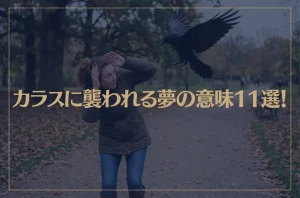 【夢占い】カラスに襲われる夢の意味11選！シチュエーション別にご紹介！