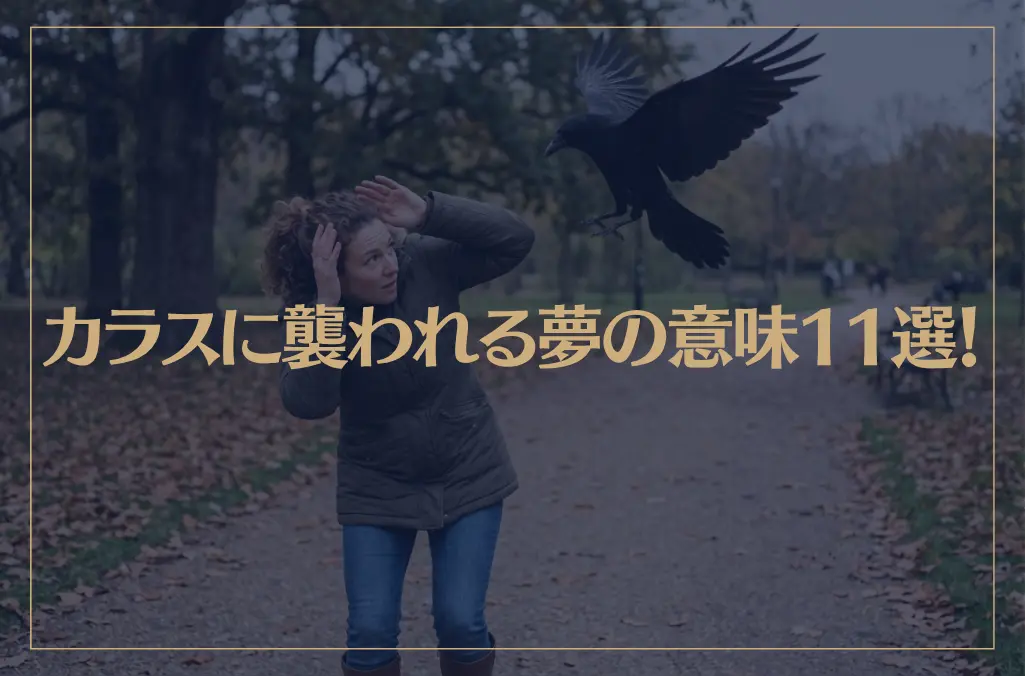 【夢占い】カラスに襲われる夢の意味11選！シチュエーション別にご紹介！