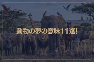 【夢占い】動物の夢の意味11選！シチュエーション別にご紹介！
