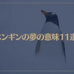 【夢占い】ペンギンの夢の意味11選！シチュエーション別にご紹介！