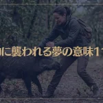 【夢占い】動物に襲われる夢の意味11選！シチュエーション別にご紹介！