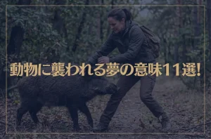 【夢占い】動物に襲われる夢の意味11選！シチュエーション別にご紹介！
