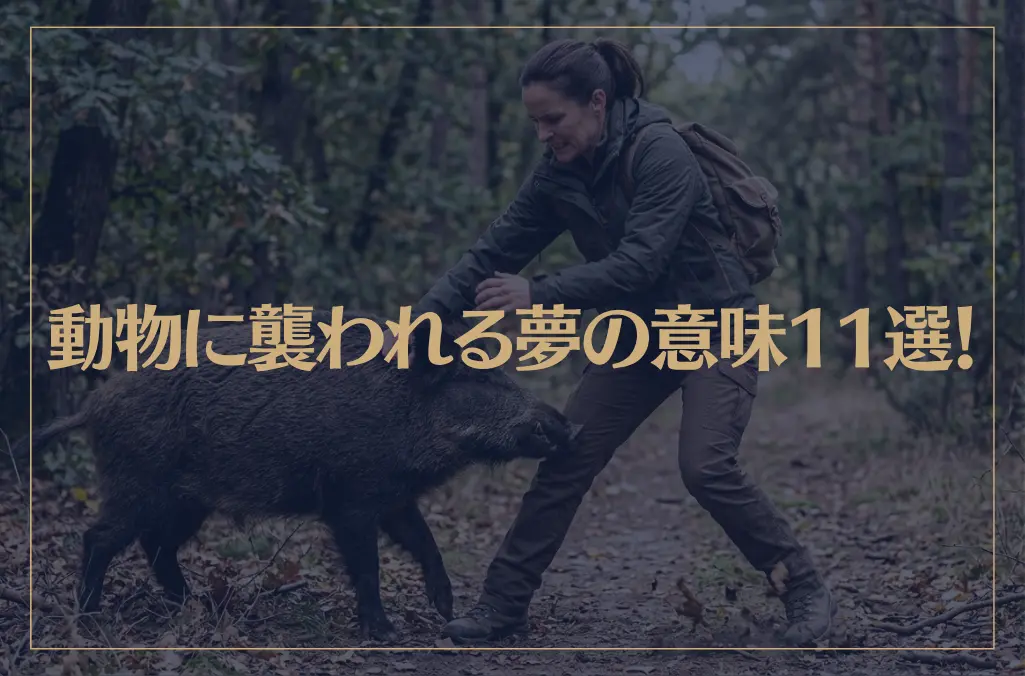 【夢占い】動物に襲われる夢の意味11選！シチュエーション別にご紹介！