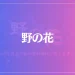 野の花は当たる？当たらない？参考になる口コミをご紹介！